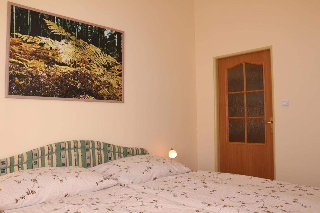 Homely Apartments Villa Christiana Marianske Lazne Exterior photo