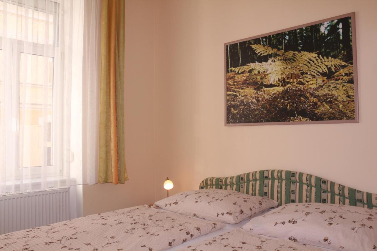 Homely Apartments Villa Christiana Marianske Lazne Exterior photo