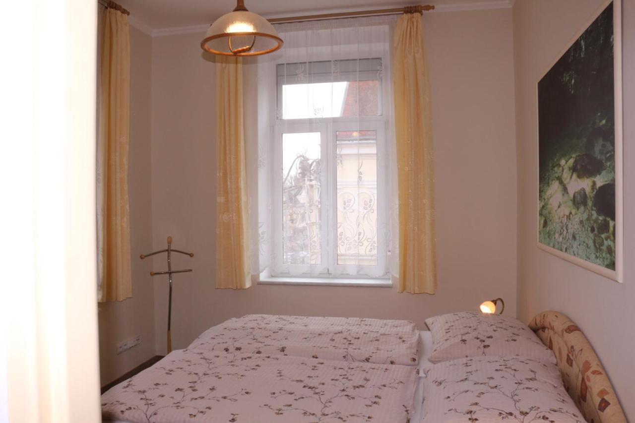 Homely Apartments Villa Christiana Marianske Lazne Exterior photo